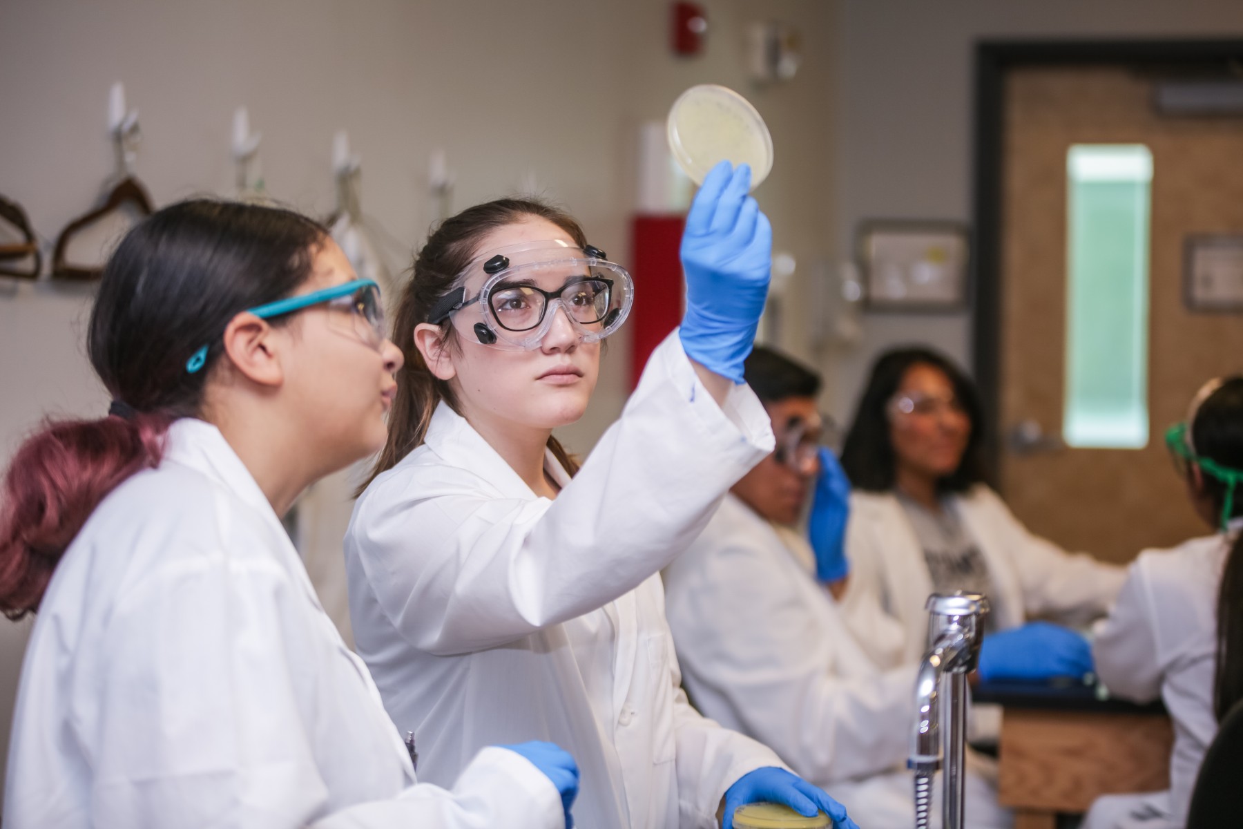 Scholarships for Women in STEM 2026: 4 Real Programs and How to Apply
