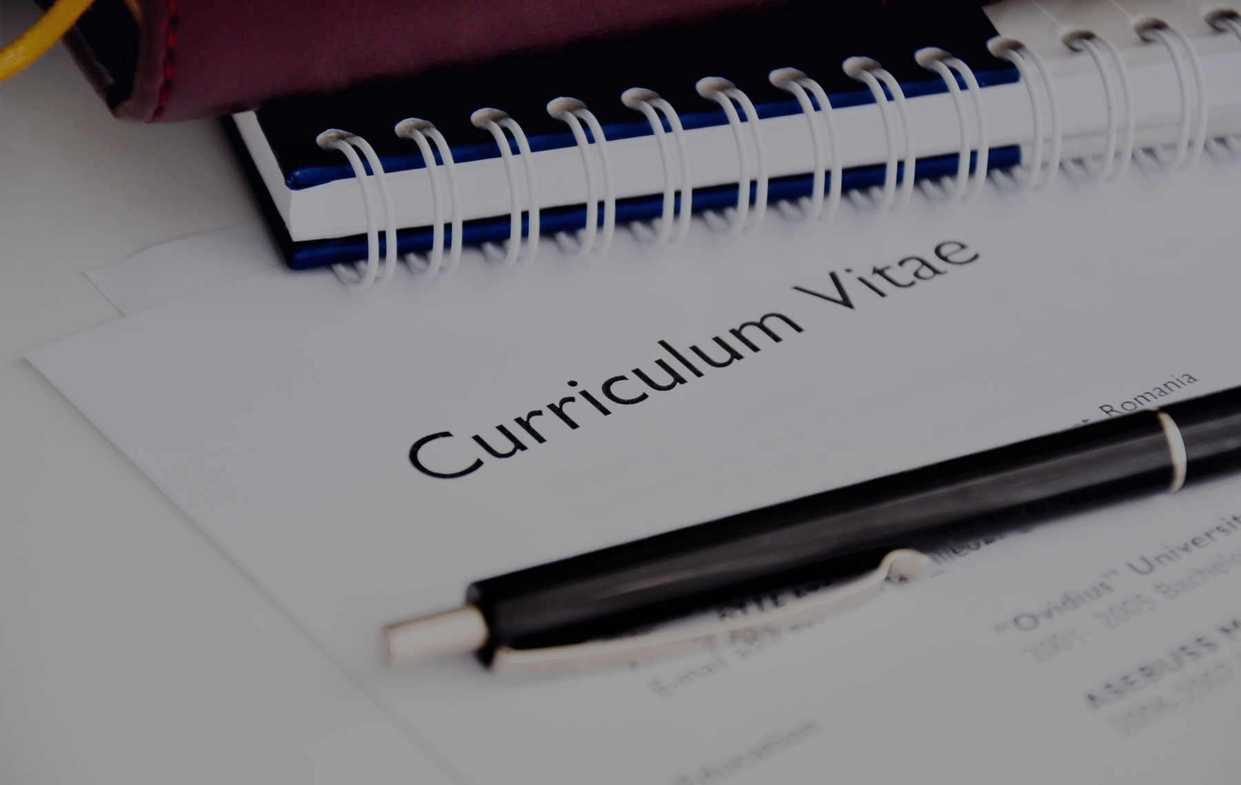 How to Build a CV That Wins Scholarships and International Jobs