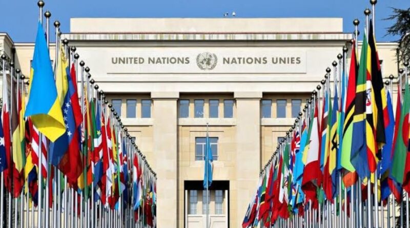 How to Get a Job at the United Nations: Complete Career Guide
