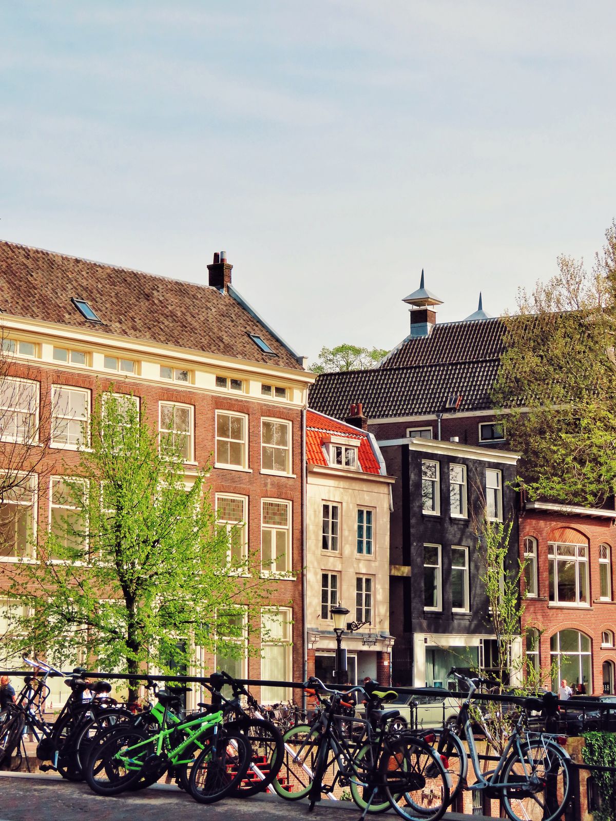 Holland Scholarship 2027 and Study in the Netherlands: Complete Guide